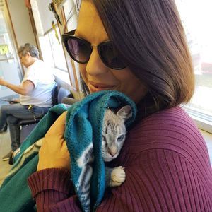 Meet your Posher, Rachel